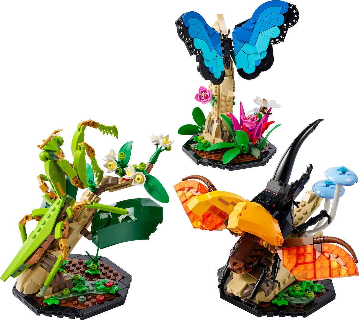 Colección de Insectos