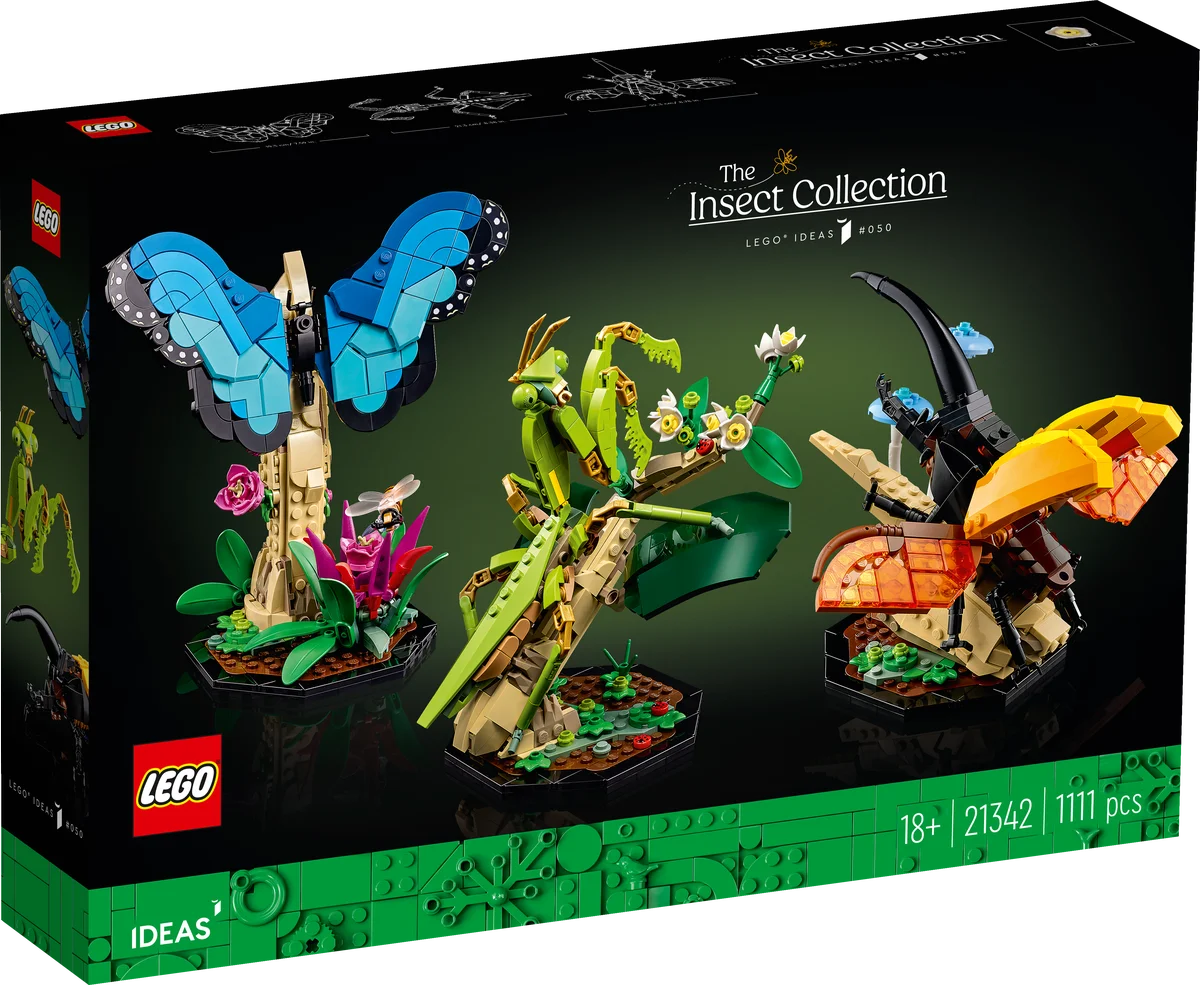 Colección de Insectos