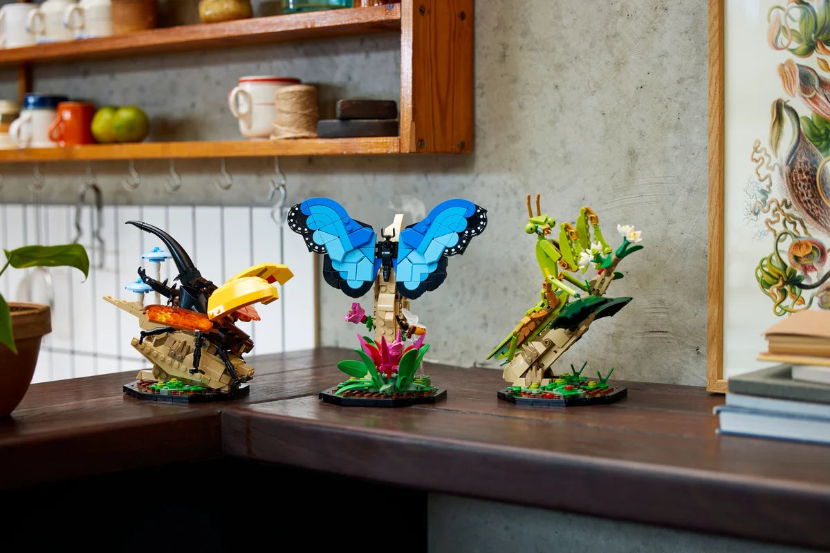 Colección de Insectos