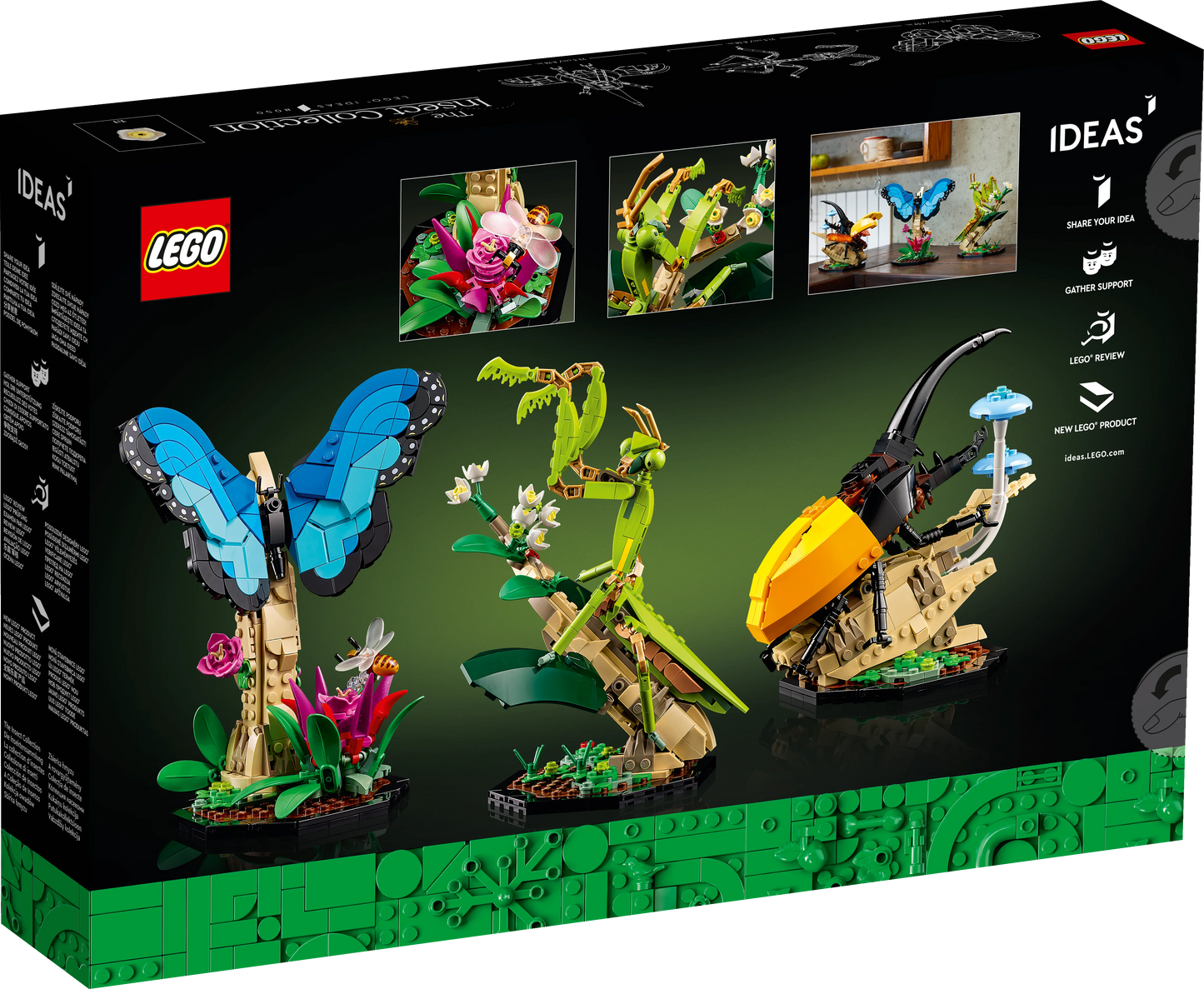 Colección de Insectos
