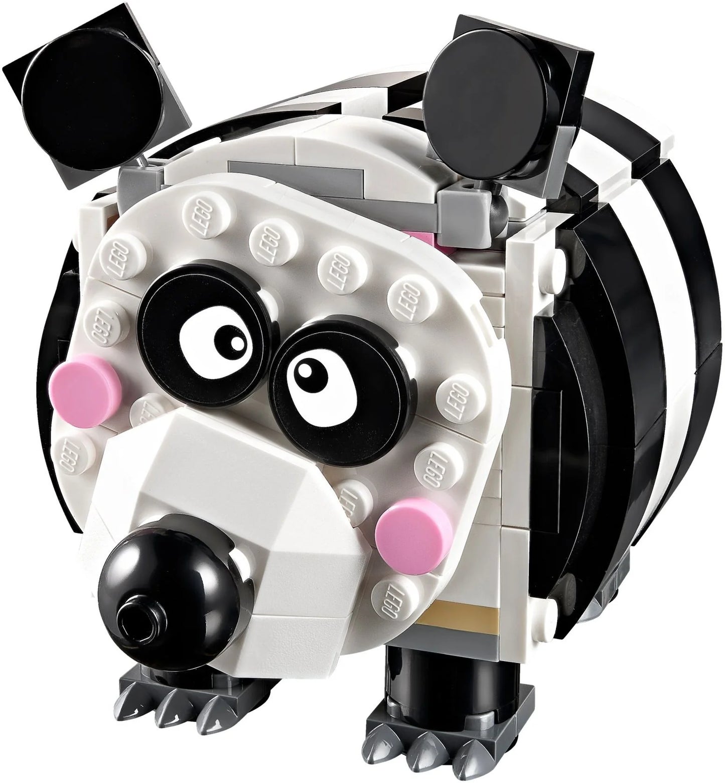 Hucha cerdo 3 in 1