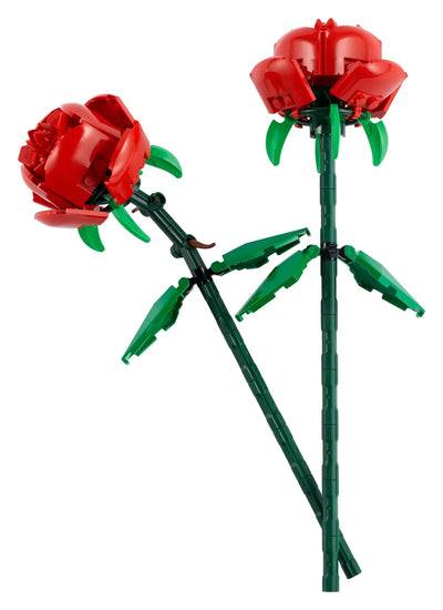 Rosas