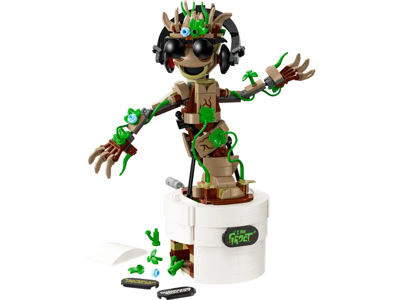 Groot Bailarín