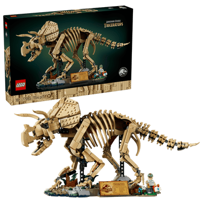 Fósiles de Dinosaurio: Triceratops