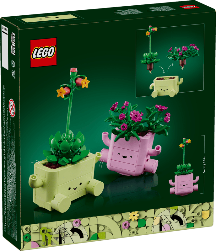 Plantas Bailarinas