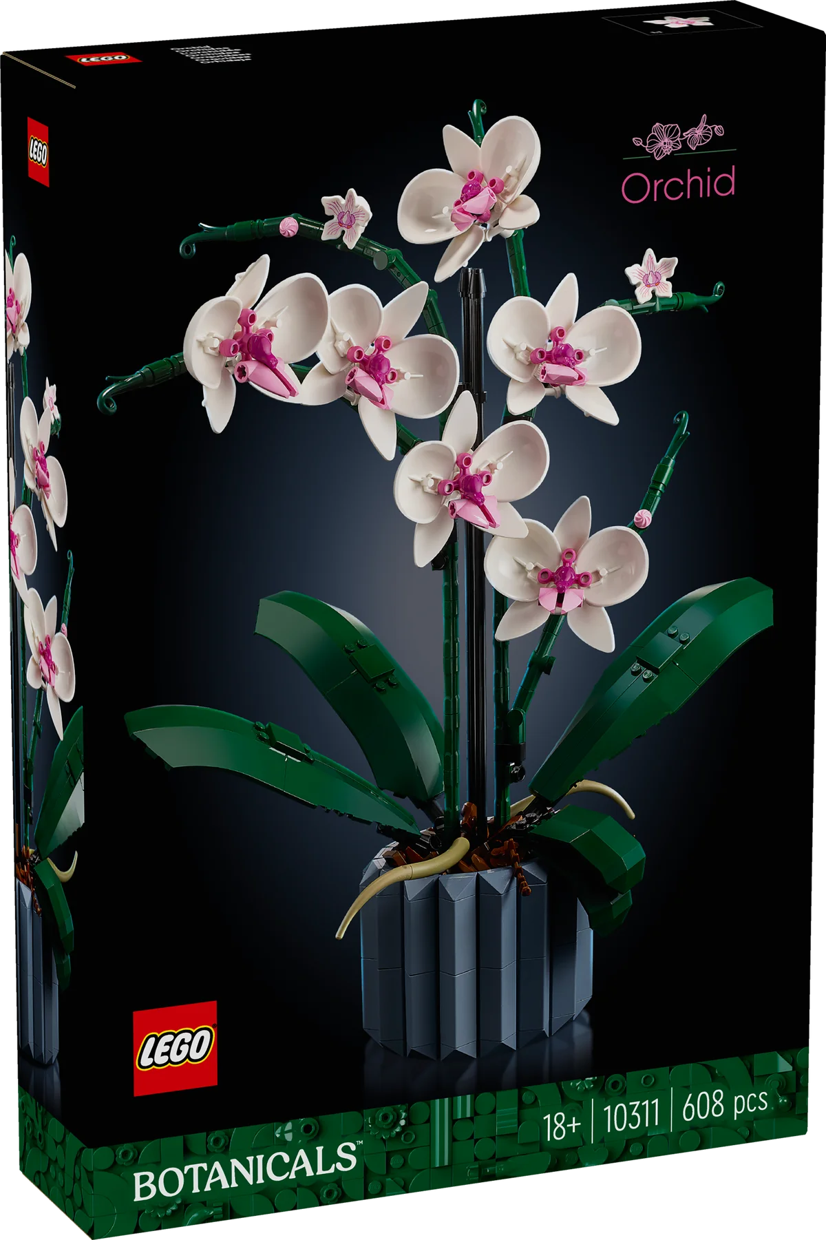 Orquídeas