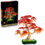 Bonsái de Arce Rojo Japonés
