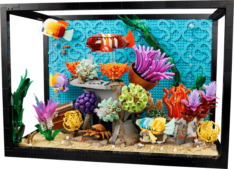 Acuario Tropical