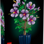 Hibisco