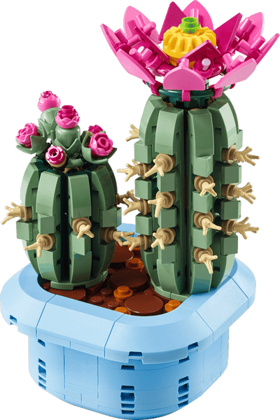 Cactus en Flor