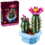 Cactus en Flor