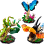 Colección de Insectos