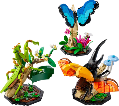 Colección de Insectos