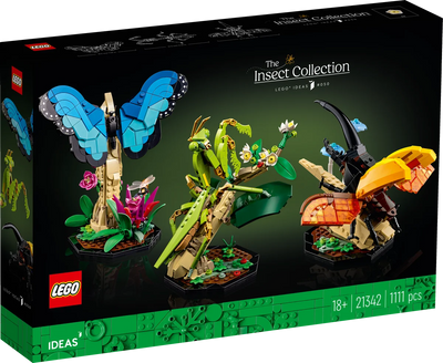 Colección de Insectos