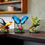 Colección de Insectos