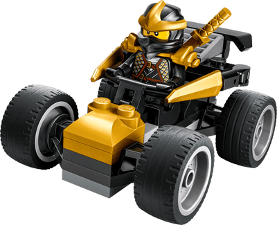 Coche del Ninja Cole