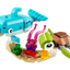 Delfín y Tortuga