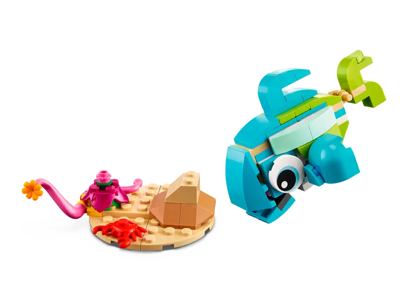 Delfín y Tortuga