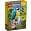 Loro Exótico