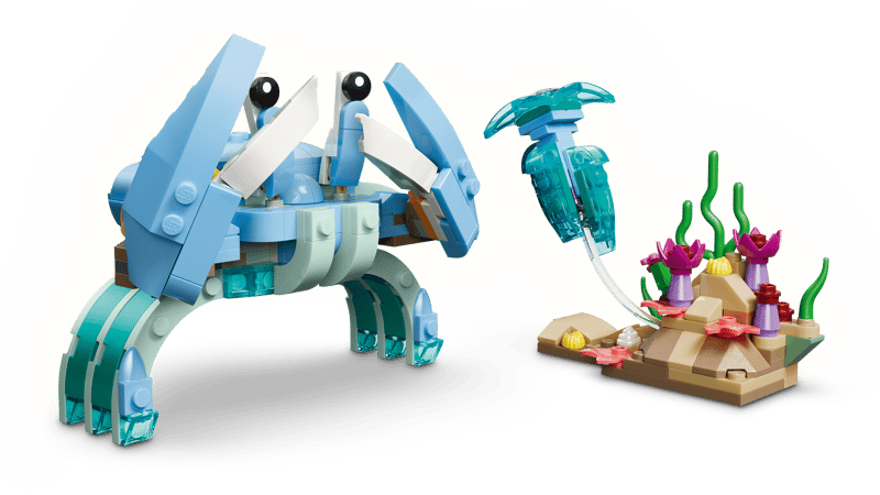 Animales Marinos: Hermosos Delfines