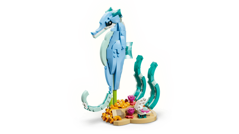 Animales Marinos: Hermosos Delfines