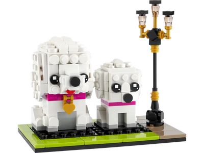 Caniche