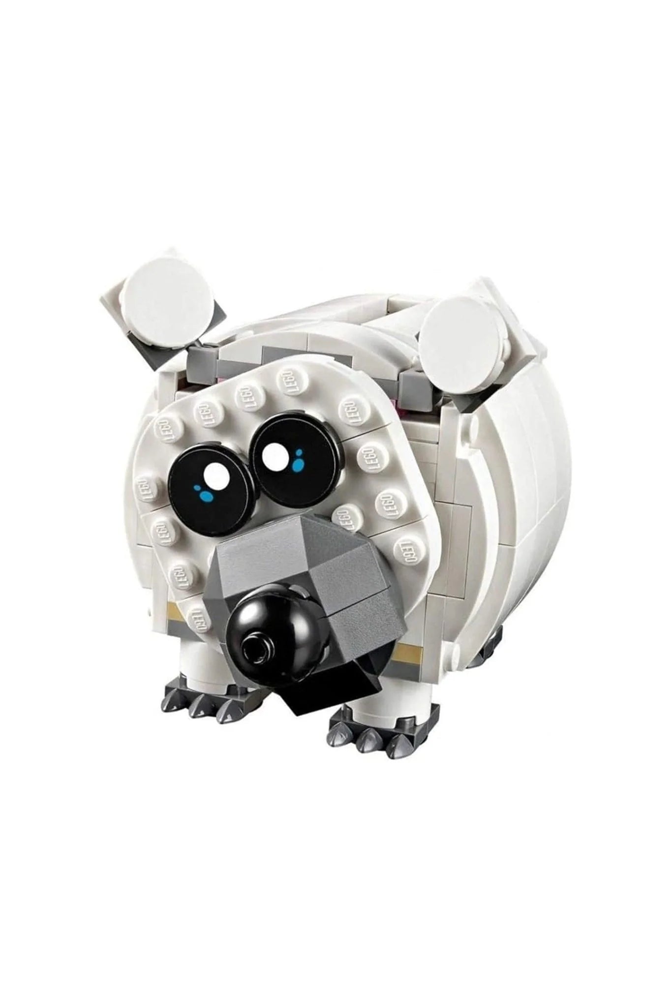 Hucha cerdo 3 in 1