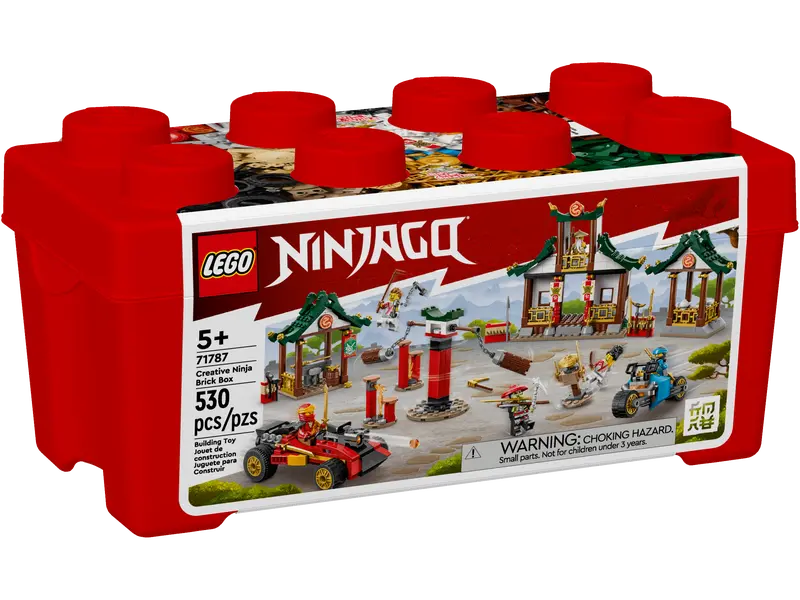 Caja Ninja de Ladrillos Creativos