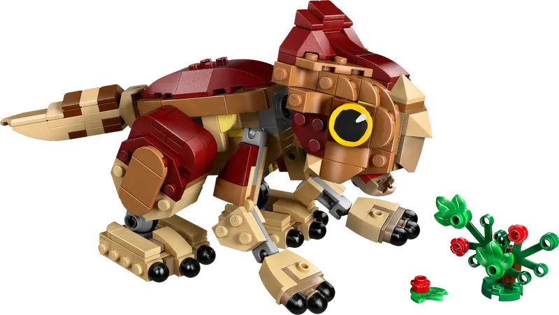 Dolores Bebé: Aquilops