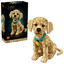 Cachorro de Golden Retriever Puppy