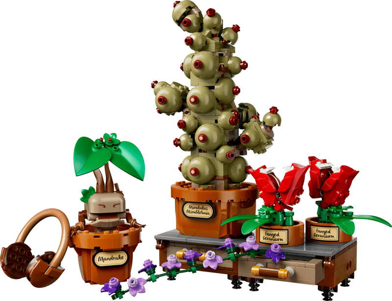 Hogwarts™: Plantas de Herbología