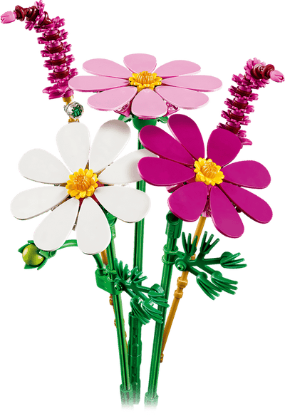 Flores de Cosmos