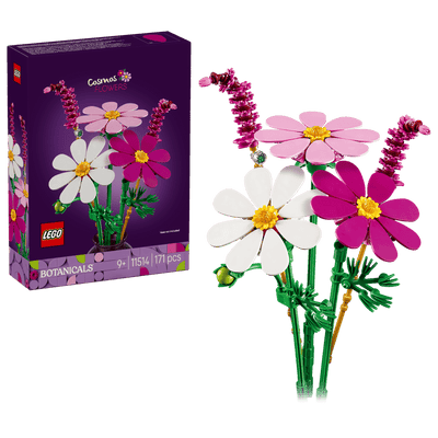Flores de Cosmos