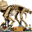 Fósiles de Dinosaurio: Triceratops