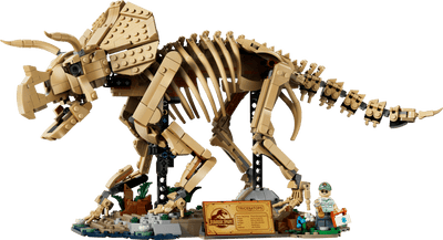 Fósiles de Dinosaurio: Triceratops