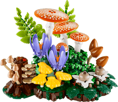 Setas del Bosque