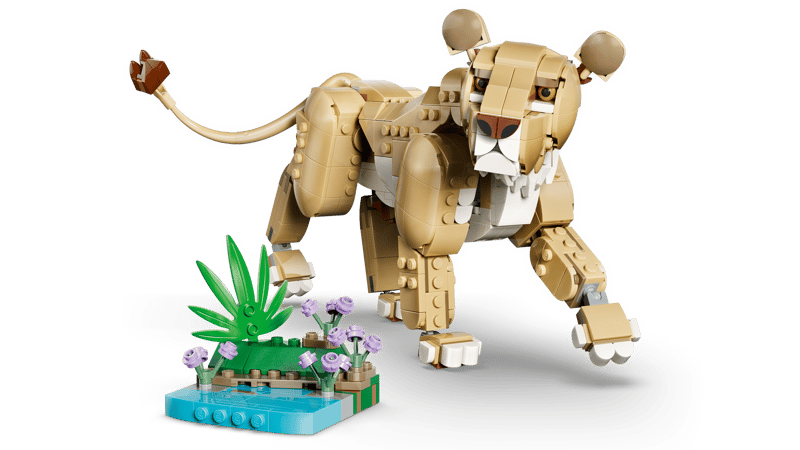 Fauna Salvaje: León Majestuoso