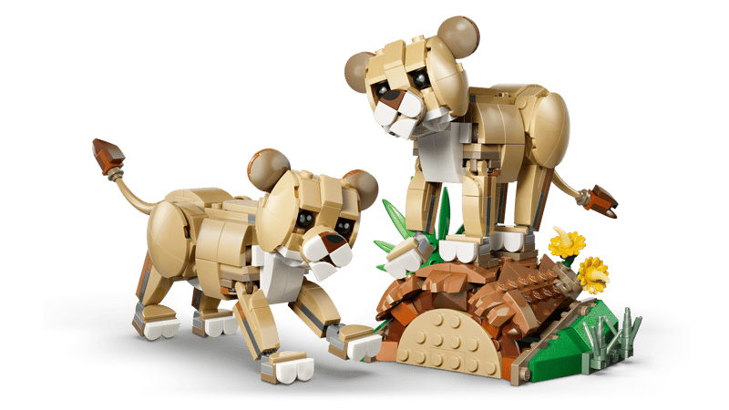 Fauna Salvaje: León Majestuoso