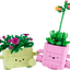 Plantas Bailarinas