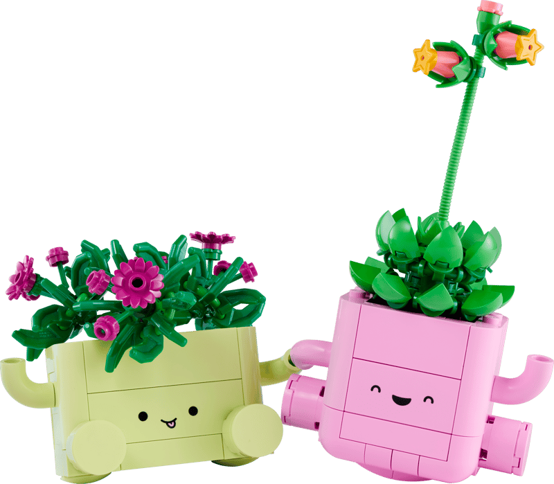 Plantas Bailarinas