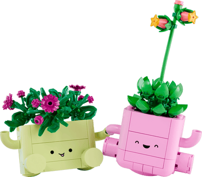 Plantas Bailarinas