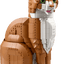 Gato Naranja