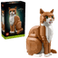 Gato Naranja