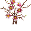 Ramas de Magnolia