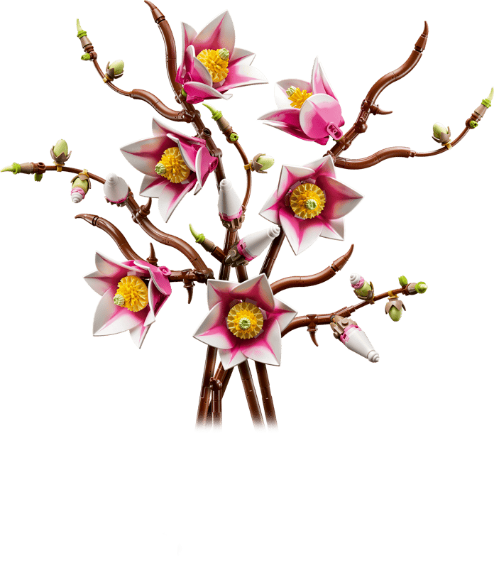 Ramas de Magnolia