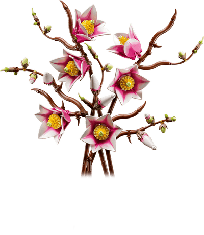 Ramas de Magnolia